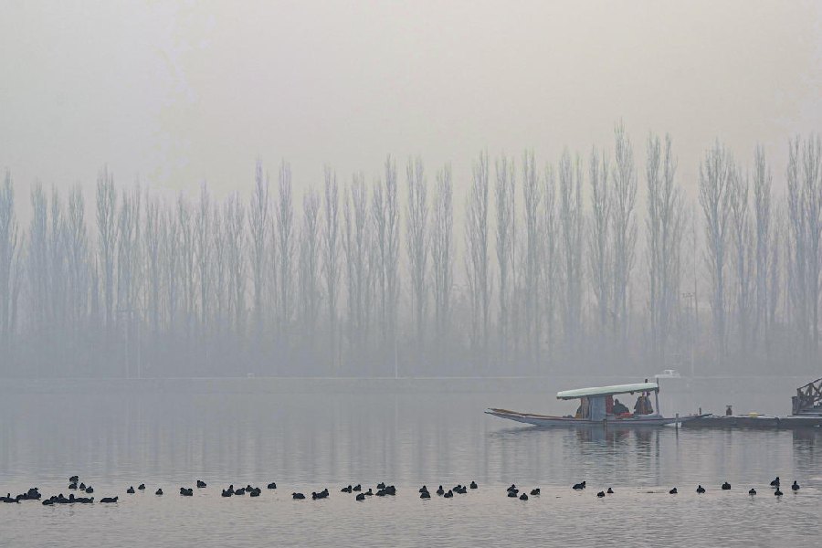 "Cold Wave Returns to Chill Kashmir, Jammu Weather Sees Improvement"