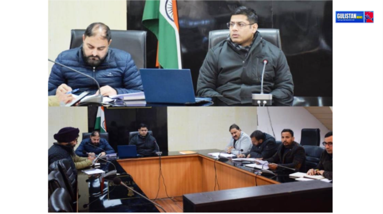 DC Poonch reviews adherence to PSGA in delivery of online services Gulistan News Tv