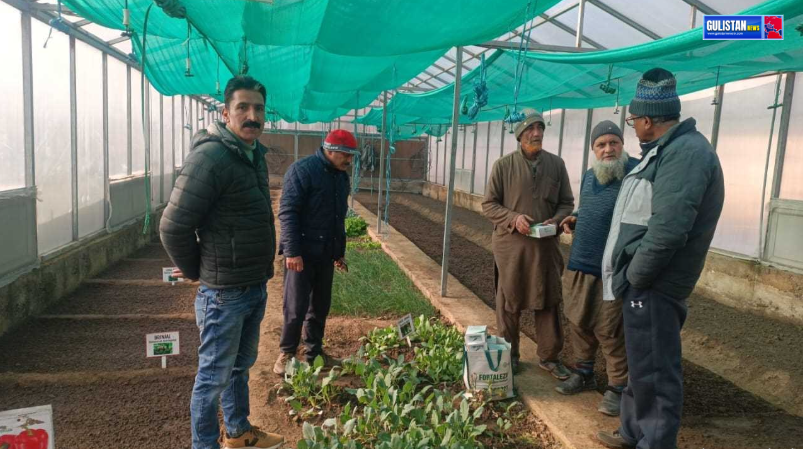 Director Agriculture visits Hi-tech Poly Houses at Tahab Pulwama GULISTAN NEWS TV