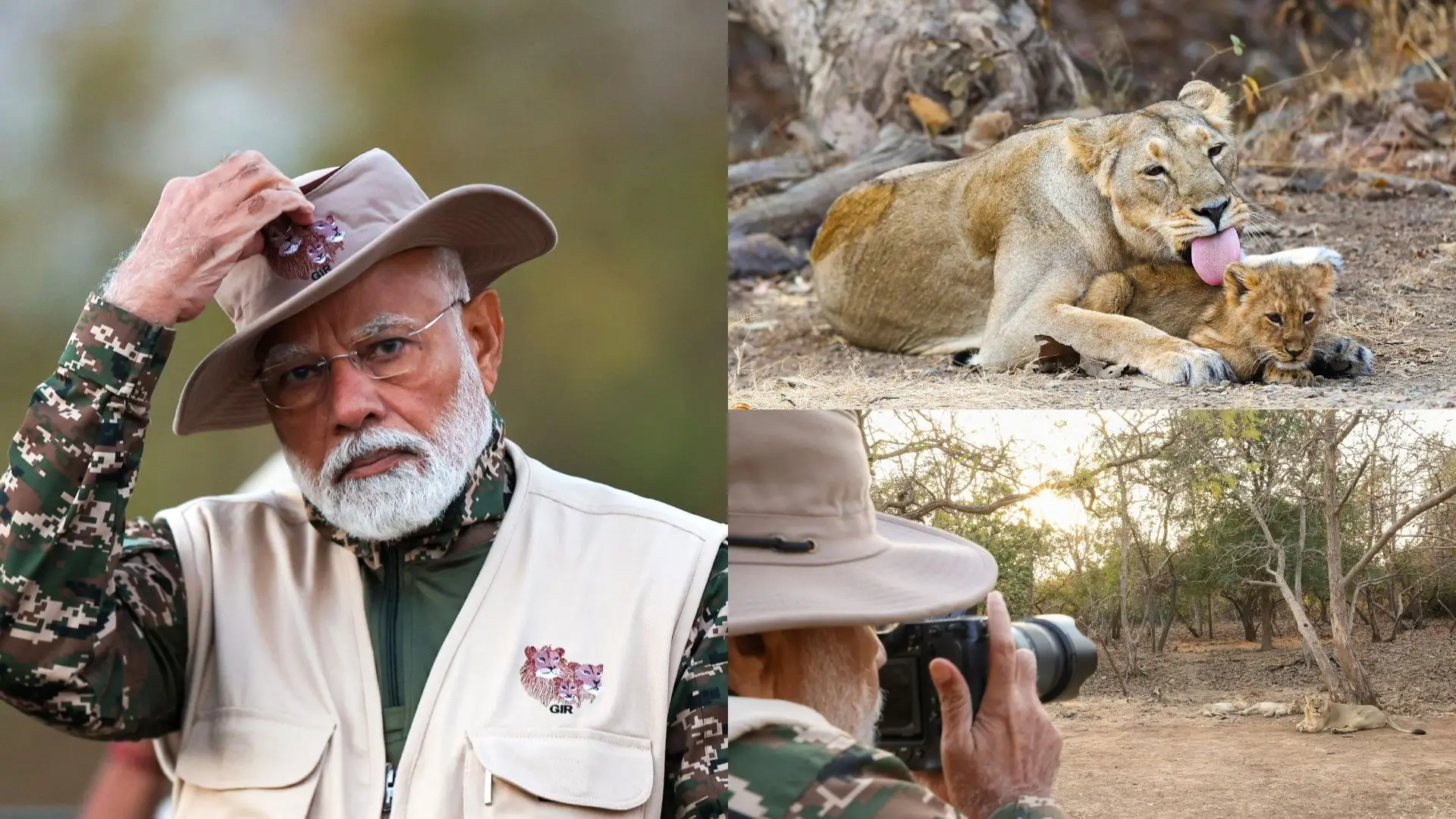 PM Modi’s Lion Safari in Gir: A Tribute to India’s Rich Wildlife on World Wildlife Day